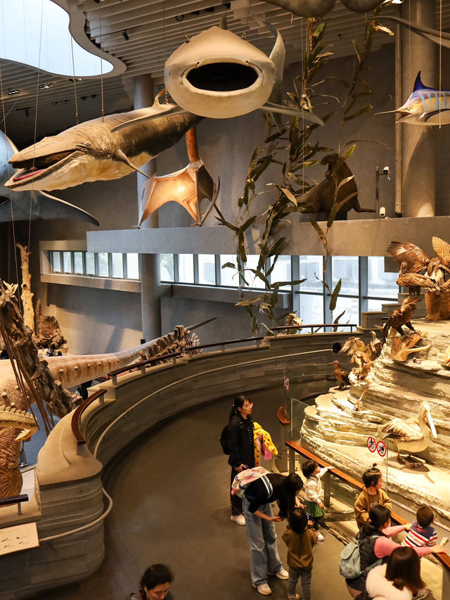 Shanghai Natural History Museum สุดอลังการว้าวสุดๆ