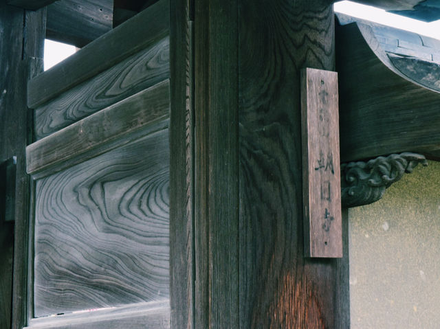 仁徳陵のそばに佇む静寂のお寺⛩️✨