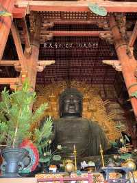修学旅行の定番！奈良時代に造られた国宝✨奈良 東大寺