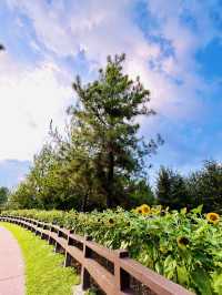 “Nature’s Harmony, Sustainability in Action – Taman Saujana Hijau”