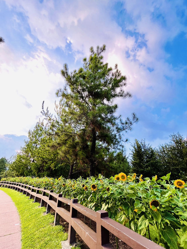 “Nature’s Harmony, Sustainability in Action – Taman Saujana Hijau”