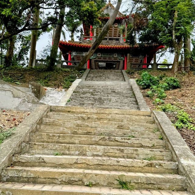 澄清湖｜「湖光山色中的櫻花樂園」
