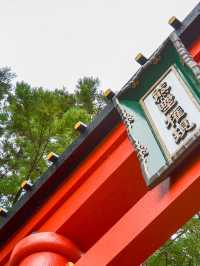 熊野速玉大社でパワーチャージ⛩️自然と信仰の交差点