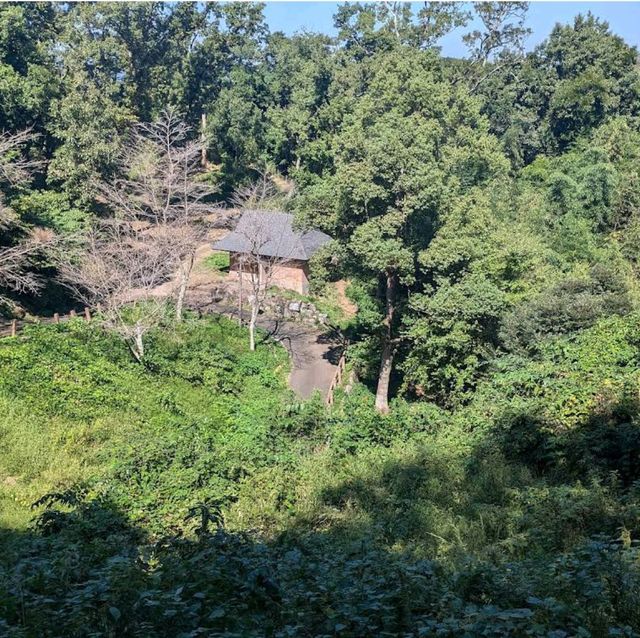 Kinugasayama Park, Yokosuka