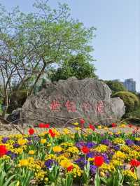 Century Park– Shanghai's Largest Urban Green Space