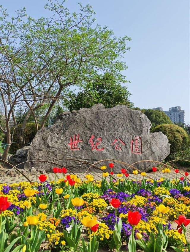 Century Park– Shanghai's Largest Urban Green Space
