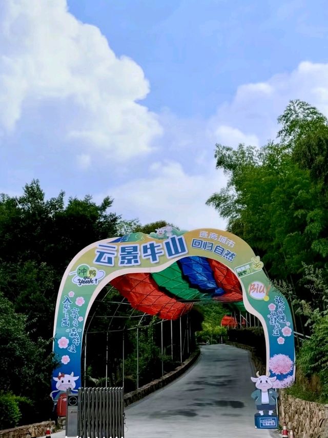 Yunjing Niushan: Thrills, Views, and Serene Clouds