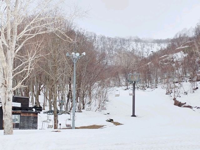 Snow Paradise Found – My Magical Stay at Hilton Niseko Village