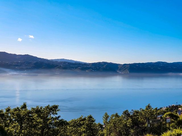 Wellington from the Top: A Mount Victoria Must-See