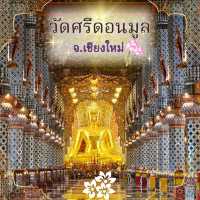 🪷วัดศรีดอนมูล |วัดสวย พุทธศิลป์แห่งล้านนา🌟
