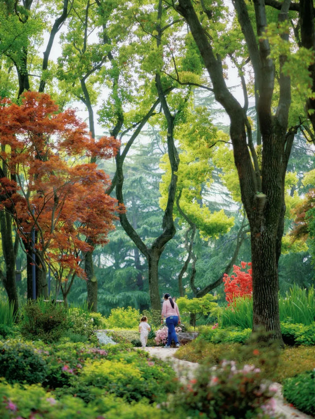 上海‼️絕美小公園