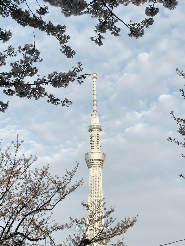TOKYO SKY TREE