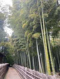 水戸市偕楽園