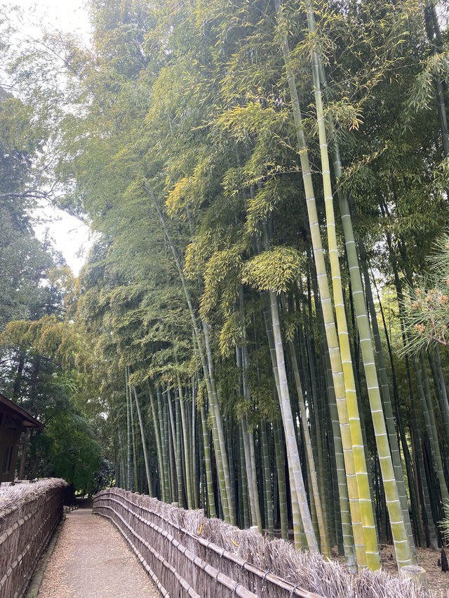 水戸市偕楽園