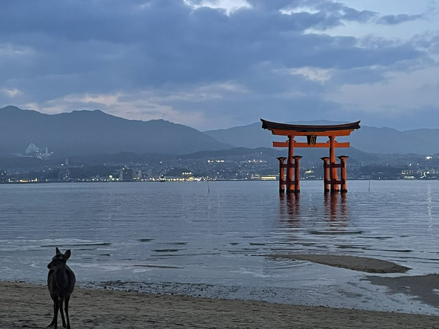 【世界遺産めぐり】広島で「祈り」と「神秘」に出会う旅