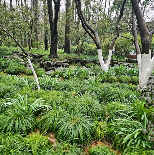 Hangzhou Botanical Garden – Hangzhou, Zhejiang