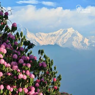 Annapurna trips 