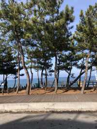 🏖 동해 바다와 맞닿은 하늘 위 휴식 스카이베이호텔 경포
