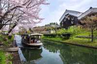 🌸 "Fushimi Canal: Kyoto’s Secret Sakura Tunnel You’ve Never Heard Of" 🌸