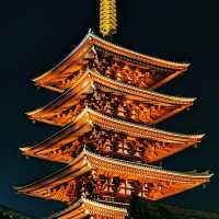 四月花季遊東京