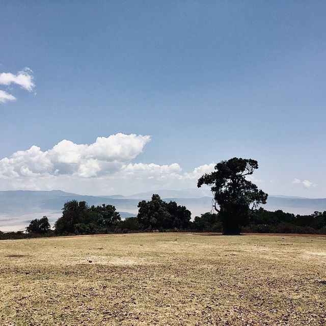 簡單而難忘的 Ngorongoro 露營日常