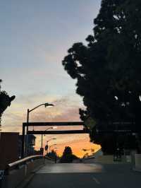 🏫 USC 캠퍼스, LA의 학문과 전통의 상징! 