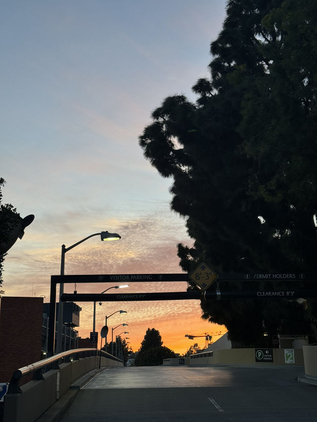 🏫 USC 캠퍼스, LA의 학문과 전통의 상징! 