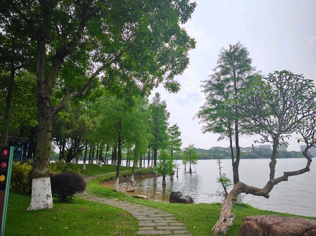 松山湖