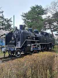 “Petal Dreams in the North: Aomori’s Sakura Symphony”