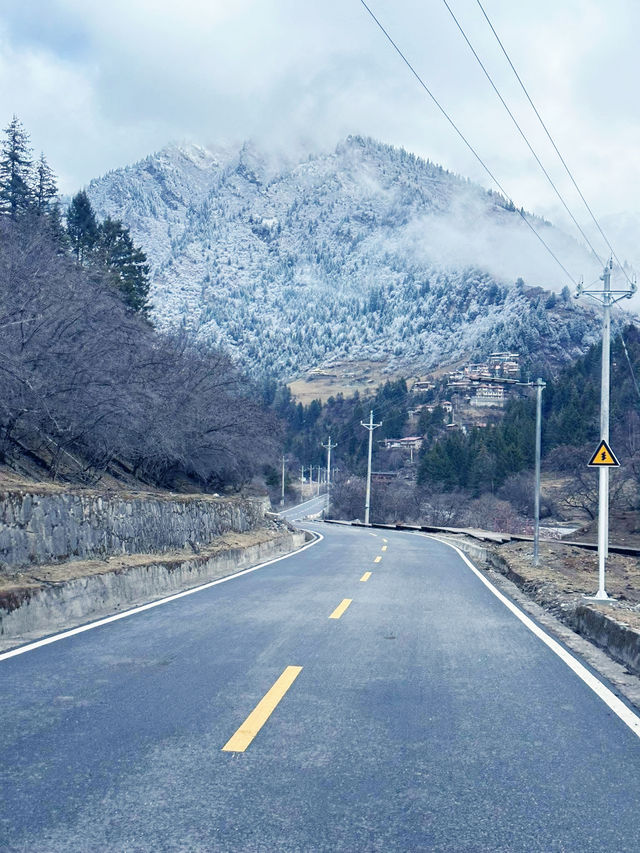 Dagu Glacier:  alpine paradise