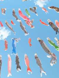 大空を泳ぐ、1000匹の鯉のぼり🎏🫧🩵