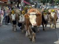 My 3-Day Itinerary at the Alpabzug Festival in Switzerland