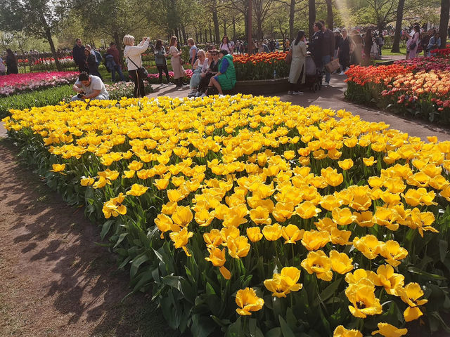 Garden of Europe