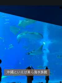 【沖縄旅行】沖縄旅行のおすすめや定番スポット紹介😍
