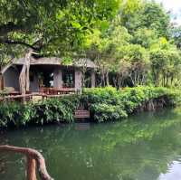 ข้าวเม่า-ข้าวฟ่าง ป่าในจินตนาการ
