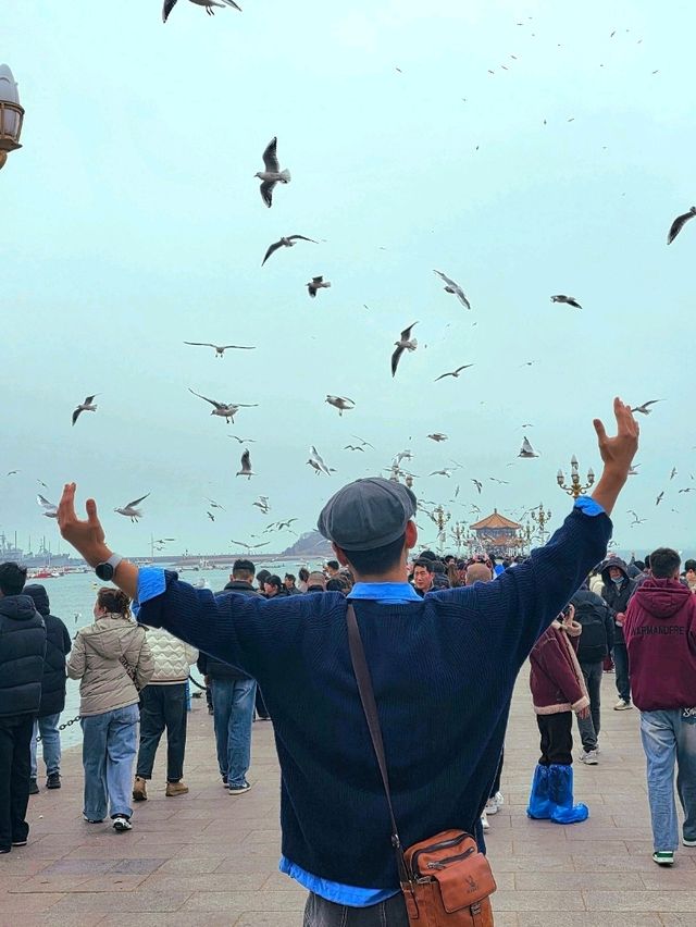 칭다오 바다위의 잔교(잔차오)🇨🇳