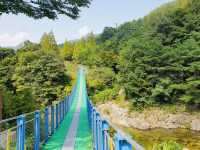 Retreat at Jangnyeongsan Natural Recreation Forest