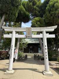 พาชมดอกวิสทีเรีย Nakayama Ofuji Festival