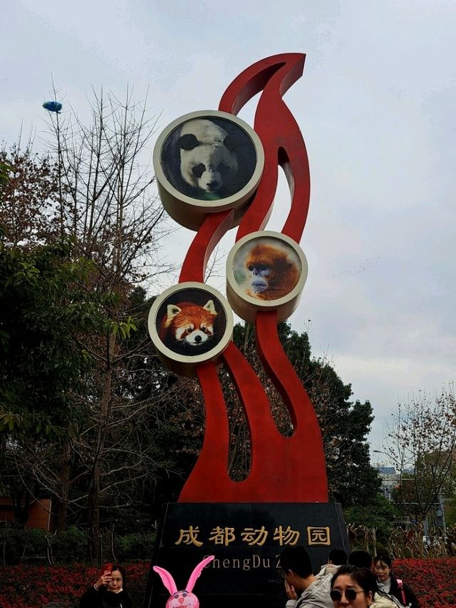 팬더부터 기린까지, 도시 속 동물 체험 공간