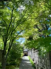Hidden Gem Near Himeji – Koko-en Garden, The Perfect Quiet Escape!