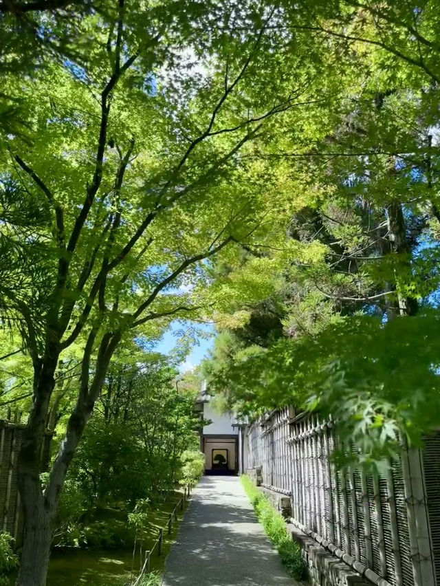 Hidden Gem Near Himeji – Koko-en Garden, The Perfect Quiet Escape!