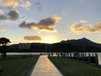 社子島島頭公園｜台北市區的濕地秘境，270度河景與生態交響的完美融合 