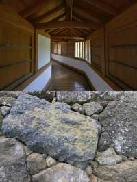Japan's Iconic Beauty and Epic History