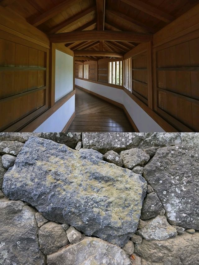 Japan's Iconic Beauty and Epic History