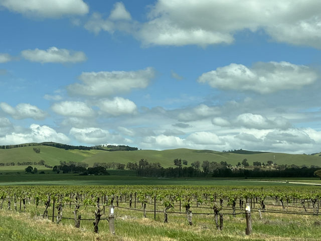 Barossa Valley 