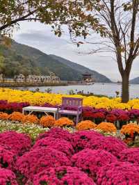 Discovering Daegu: A Perfect Blend of Tradition and Modernity