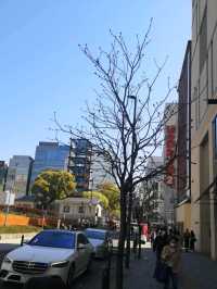 Exploring Fukuoka: Japan’s Coastal Gem Full of Flavor and Culture