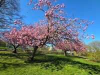 Chorlton Park