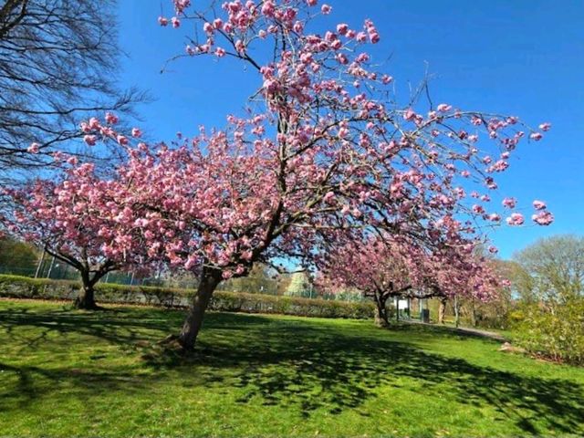 Chorlton Park
