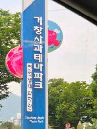 거창실내여행지_카멜레온을 만날수있는[천적생태과학관]